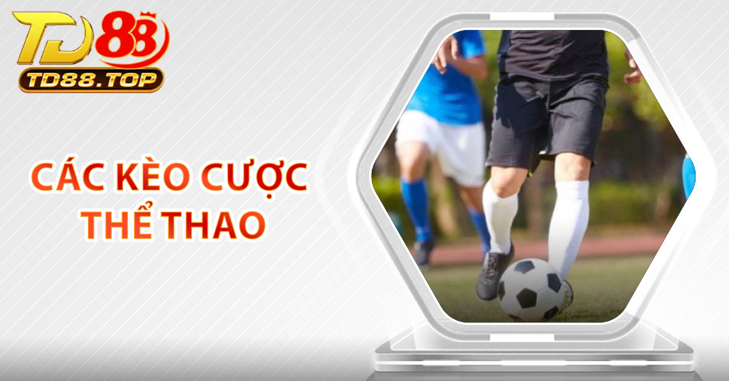Các bộ môn cá cược phổ biến tại Thể Thao TD88