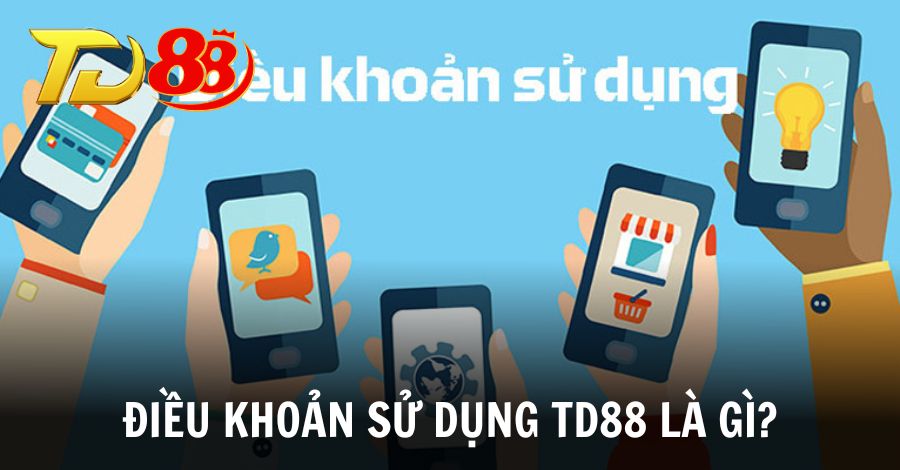 Điều khoản sử dụng TD88 là gì?